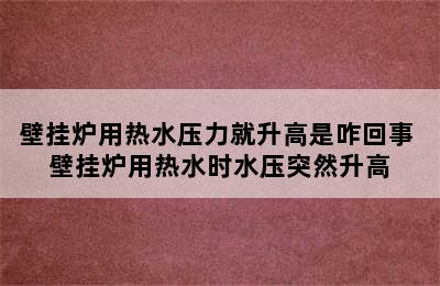 壁挂炉用热水压力就升高是咋回事 壁挂炉用热水时水压突然升高